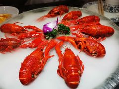 -京悦南门涮羊肉·羊蝎子火锅(田林路店)