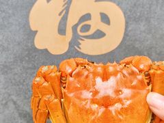 -乡乐园蟹庄·阳澄湖农家乐