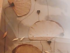 -上海佘山世茂艾美酒店