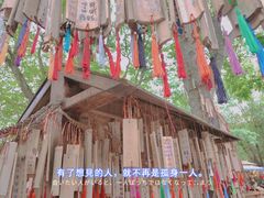 -黄龙溪古镇