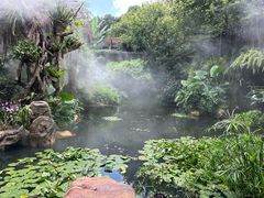 -蛙来哒(湖州东吴银泰百货店)
