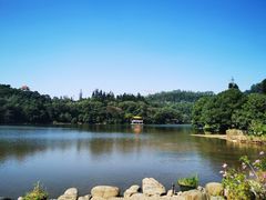 -深圳仙湖植物园
