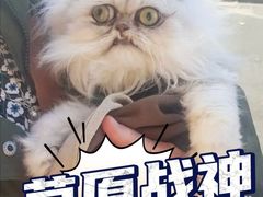 -星轶IMAX影城(九亭U天地旗舰店)
