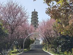 -祥源·阜阳生态乐园