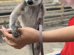 -水上乐园·欢乐世界