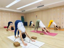 -酉嘉瑜伽YO+YOGA