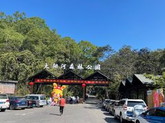 -普洱太阳河森林公园