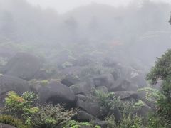 -玉苍山国家森林公园