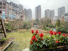 -黔蘑菇四季餐厅(观山湖店)