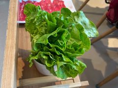 -潮界(LU·ONE凯德晶萃广场店)