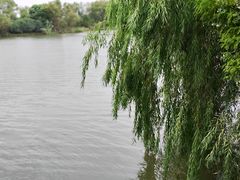 -苏州太湖国家湿地公园