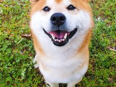 -台场海滨公园船码头