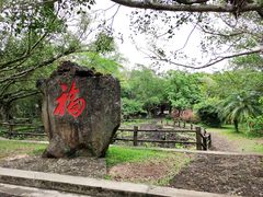 -海口火山口国家地质公园
