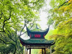 -岳麓山风景名胜区