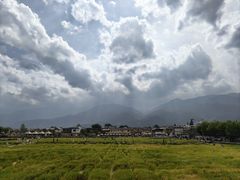 -喜林苑·稻田餐厅(品相府店)