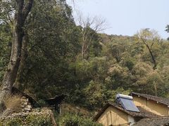 -遂昌金矿国家矿山公园