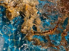 -三亚火车头万人海鲜广场