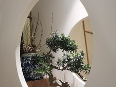 -荷风细雨·中国茶宴(碧云店)