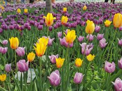 -长春公园(普阳街道)