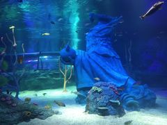 -沈阳海洋探索中心