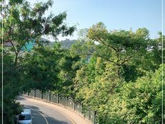 -深圳东部华侨城茵特拉根酒店