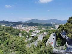-福道