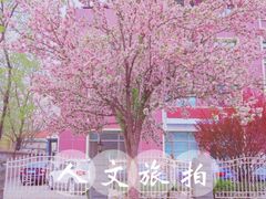 -岳阳道小学(大理道校区)