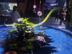-顺德南宏海立方海洋公园