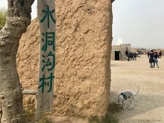 -水洞沟旅游区