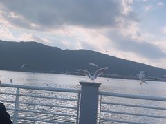 -云南省大剧院