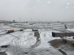 -谢列梅捷沃国际机场