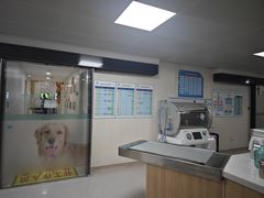 -谐和贝康宠物医院24小时·宠保定点(急重症转诊中心)