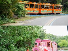 -常州淹城野生动物世界