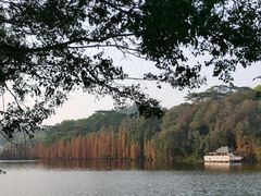 -三水森林公园