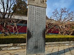 -湘子庙