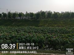 -北京政法职业学院(大兴校区)