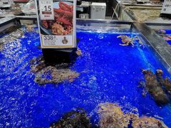水产区-盒马鲜生(新都心店)