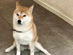 -三目仓咖啡(贤南路店)