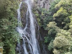 -永泰中国云顶