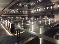 -南京禄口机场雅高铂尔曼大酒店