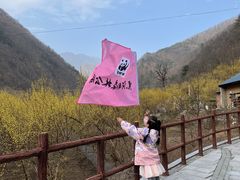 -黑河国家森林公园