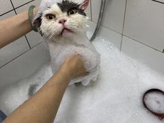 -拜鲁耶动物诊疗中心·宠家动物医院