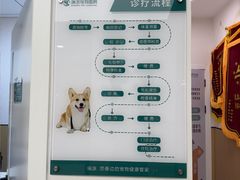 -瑞派康怡24h宠物医院·犬猫医疗中心·微创绝育(瑞景分院)