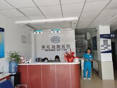 -美联众合动物医院·伴可分院·内科中心医院