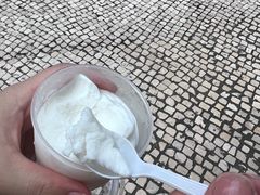-洪馨椰子