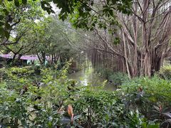 -广州长隆飞鸟乐园