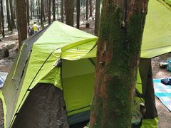 -山王坪喀斯特国家生态公园