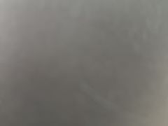 -唐小姐の私宠·宠物洗护美容·撸猫馆·购宠(周浦万达旗舰店)