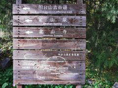 -阳台山自然风景区