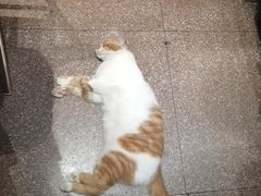 -官塘鱻鱻鱼生·潮汕生腌·砂锅粥(西马路总店)
